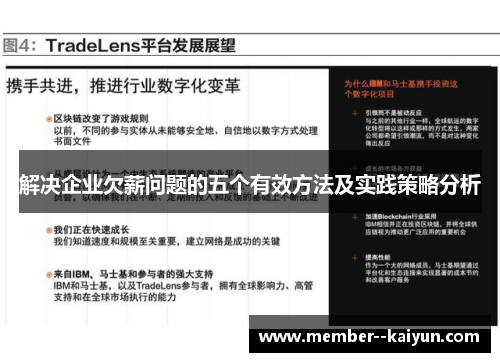 解决企业欠薪问题的五个有效方法及实践策略分析 解决企业欠薪问题的五个有效方法及实践策略分析