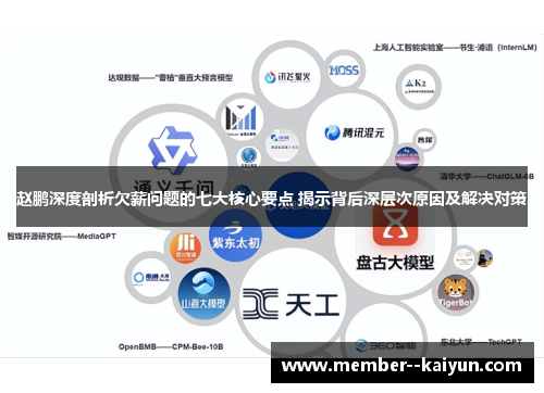 赵鹏深度剖析欠薪问题的七大核心要点 揭示背后深层次原因及解决对策