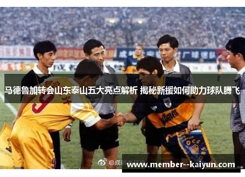马德鲁加转会山东泰山五大亮点解析 揭秘新援如何助力球队腾飞 马德鲁加转会山东泰山五大亮点解析 揭秘新援如何助力球队腾飞